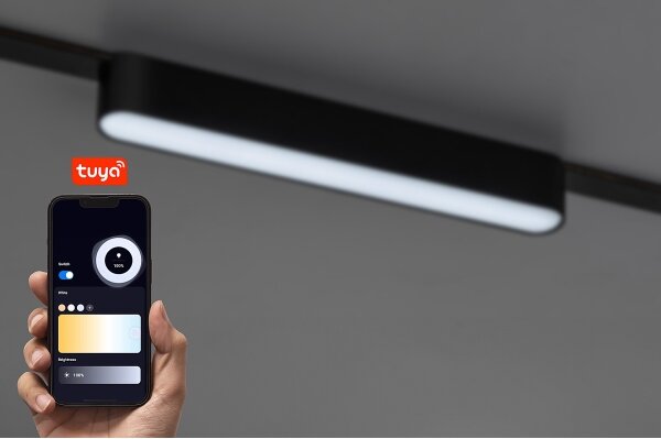 Rabalux 70123-LED Stm. str. svieti. do 1-fáz. lišt. sys. LiTrack 12W/24V 22 cm