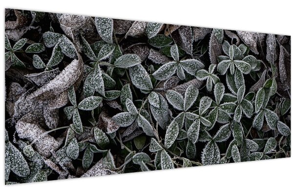 Obraz - Zamrznuté rastliny (120x50 cm)