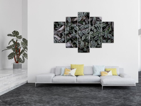 Obraz - Zamrznuté rastliny (150x105 cm)