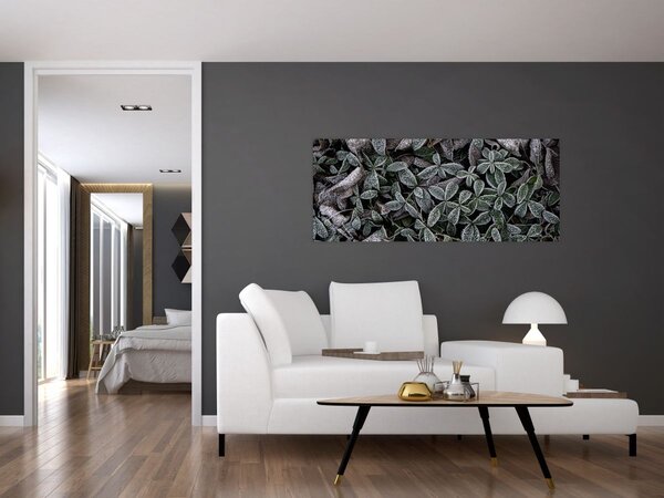 Obraz - Zamrznuté rastliny (120x50 cm)