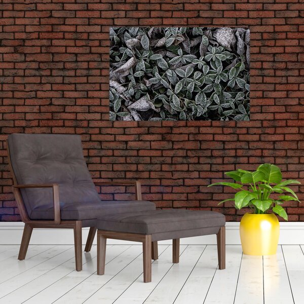 Obraz - Zamrznuté rastliny (90x60 cm)