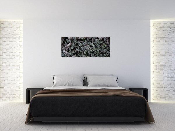 Obraz - Zamrznuté rastliny (120x50 cm)