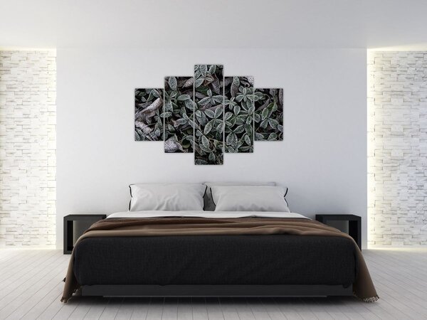 Obraz - Zamrznuté rastliny (150x105 cm)