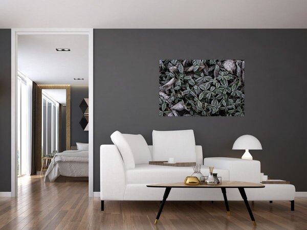 Obraz - Zamrznuté rastliny (90x60 cm)