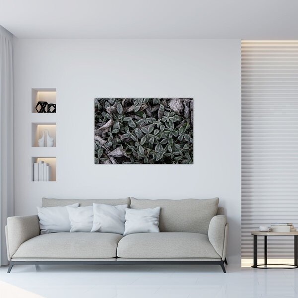 Obraz - Zamrznuté rastliny (90x60 cm)
