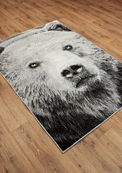 Koberec Kolibri 11365/190 rozmery koberec: 120x170 cm