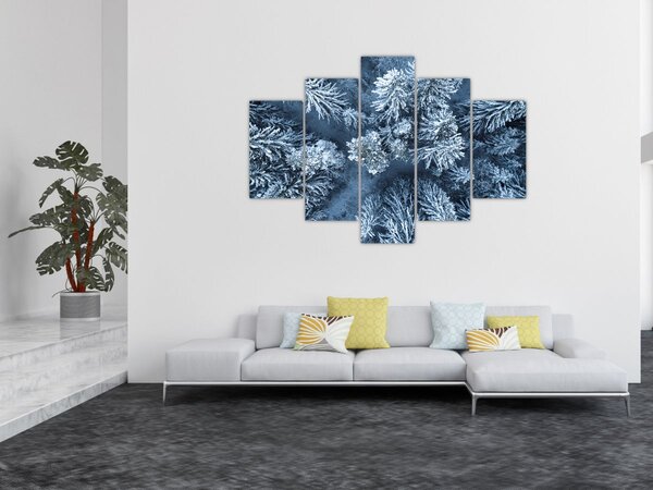 Obraz - Zasnežený les (150x105 cm)