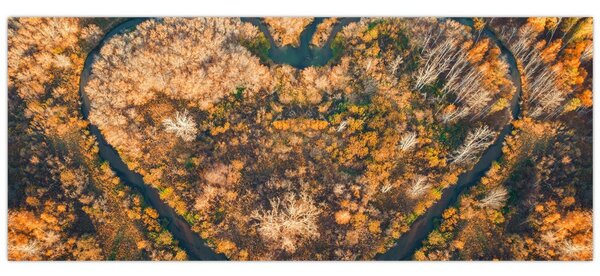 Obraz - Rieka v tvare srdca (120x50 cm)