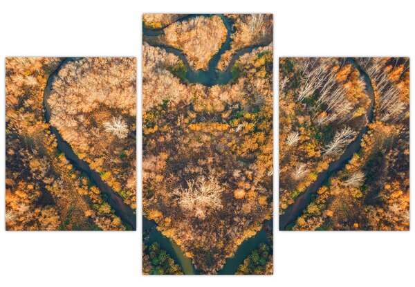 Obraz - Rieka v tvare srdca (90x60 cm)