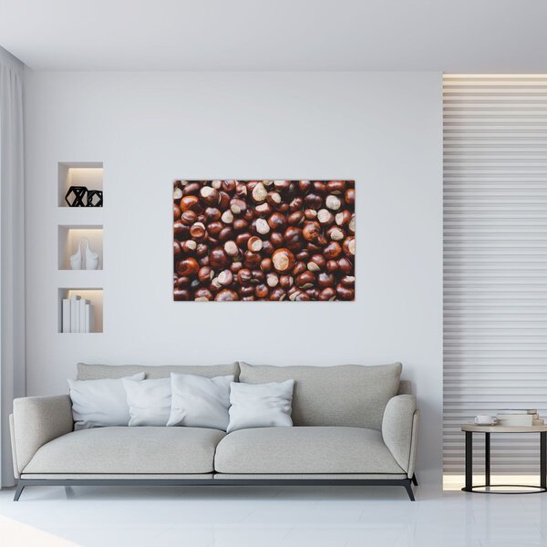 Obraz - Zrelé gaštany (90x60 cm)