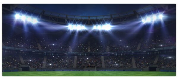 Obraz - Futbalový štadión (120x50 cm)