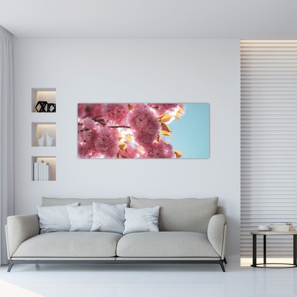 Obraz - Čerešňový kvet (120x50 cm)