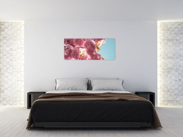 Obraz - Čerešňový kvet (120x50 cm)