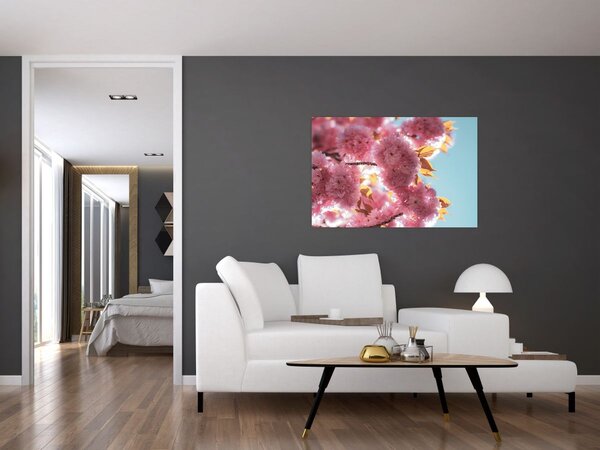 Obraz - Čerešňový kvet (90x60 cm)