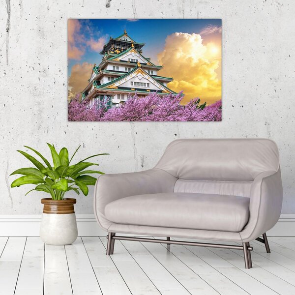 Obraz - Osacký hrad (90x60 cm)