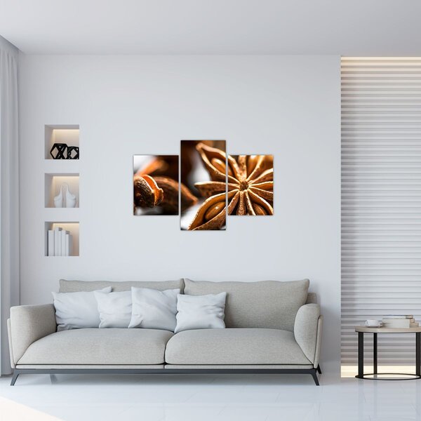 Obraz - Aníz (90x60 cm)
