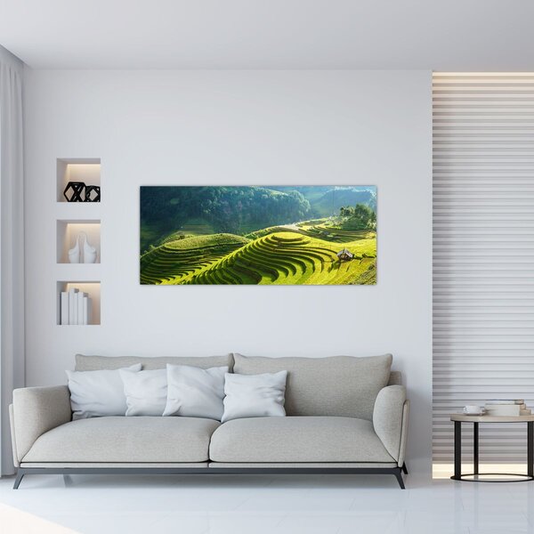 Obraz - Koncert ryžových terás (120x50 cm)