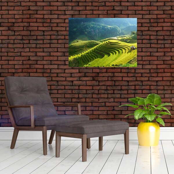 Obraz - Koncert ryžových terás (70x50 cm)