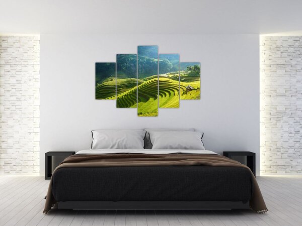 Obraz - Koncert ryžových terás (150x105 cm)