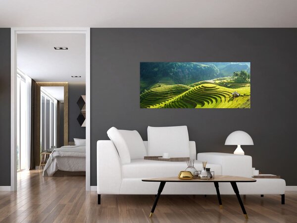 Obraz - Koncert ryžových terás (120x50 cm)