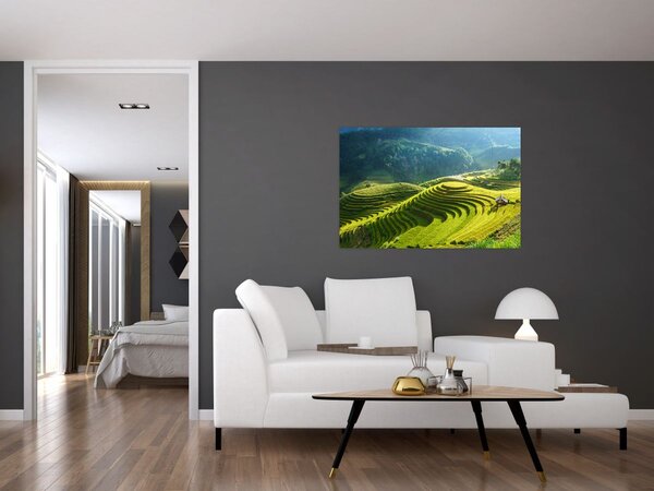 Obraz - Koncert ryžových terás (90x60 cm)