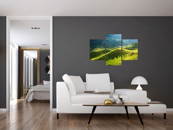 Obraz - Koncert ryžových terás (90x60 cm)