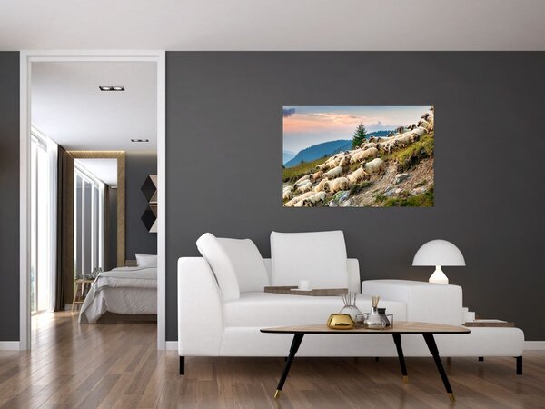 Obraz - Stádo oviec (90x60 cm)