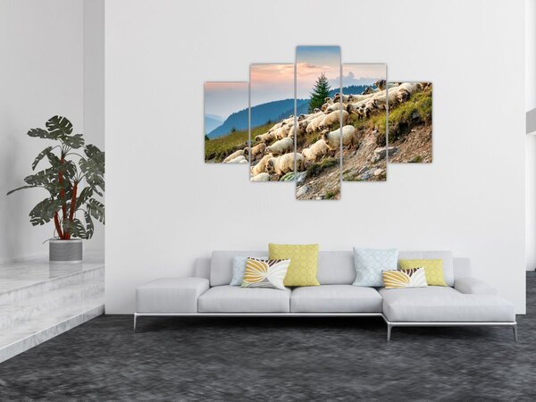 Obraz - Stádo oviec (150x105 cm)