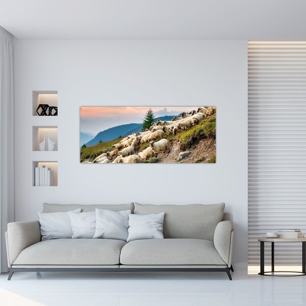 Obraz - Stádo oviec (120x50 cm)
