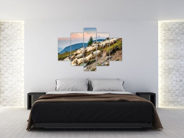 Obraz - Stádo oviec (150x105 cm)