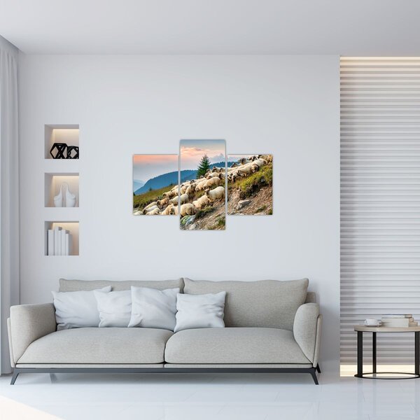 Obraz - Stádo oviec (90x60 cm)