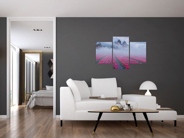 Obraz - Krajina s tulipánovými poľami (90x60 cm)
