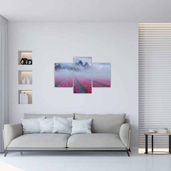 Obraz - Krajina s tulipánovými poľami (90x60 cm)
