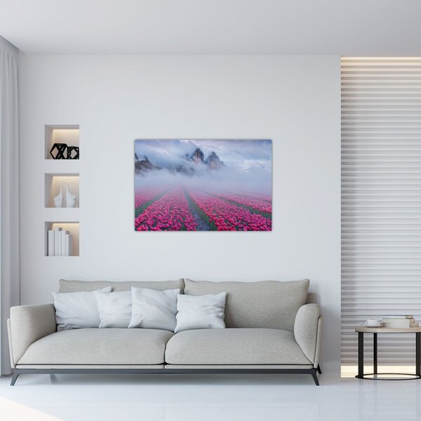 Obraz - Krajina s tulipánovými poľami (90x60 cm)