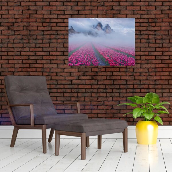 Obraz - Krajina s tulipánovými poľami (70x50 cm)