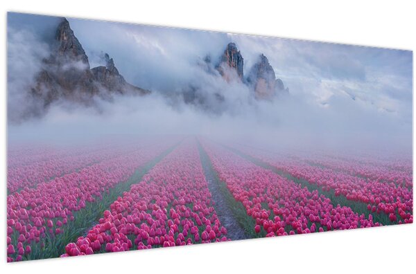 Obraz - Krajina s tulipánovými poľami (120x50 cm)