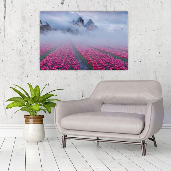 Obraz - Krajina s tulipánovými poľami (90x60 cm)