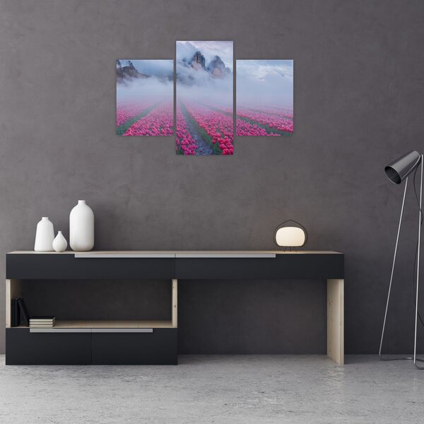 Obraz - Krajina s tulipánovými poľami (90x60 cm)