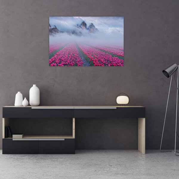 Obraz - Krajina s tulipánovými poľami (90x60 cm)