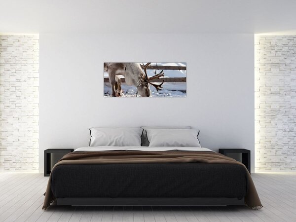 Obraz - Sob (120x50 cm)