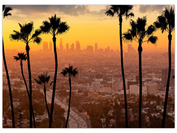 Obraz - Panorama Los Angeles (70x50 cm)