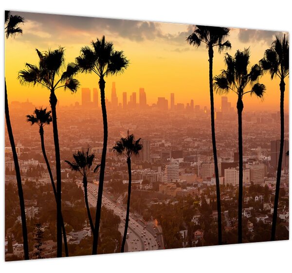 Obraz - Panorama Los Angeles (70x50 cm)