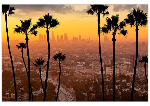 Obraz - Panorama Los Angeles (90x60 cm)