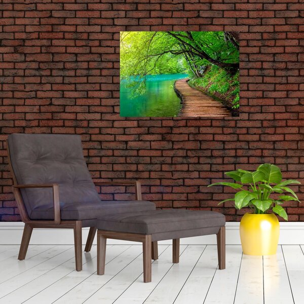Obraz - Plitvické jazerá (70x50 cm)
