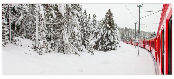 Obraz - Vlak v zasneženej krajine (120x50 cm)