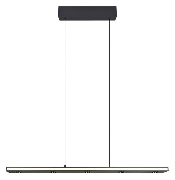 Trio T353010132 LED závesné stropné svietidlo GRAHAM | 4,5W integrovaný LED zdroj