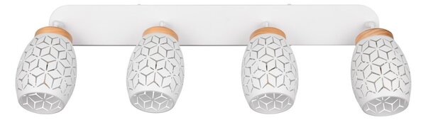 Trio TR81574031 bodové stropné svietidlo BIDAR E14