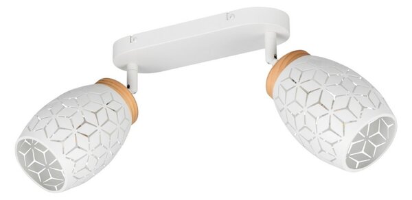 Trio TR81572031 bodové stropné svietidlo BIDAR E14