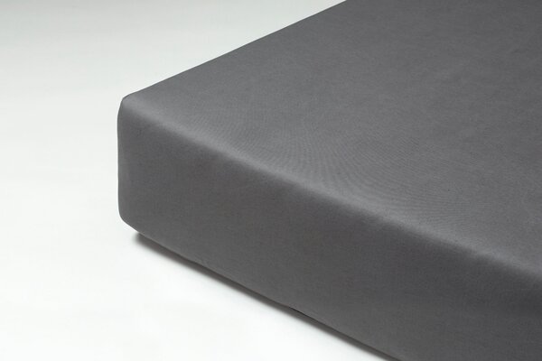 Plachta Stone Miracle