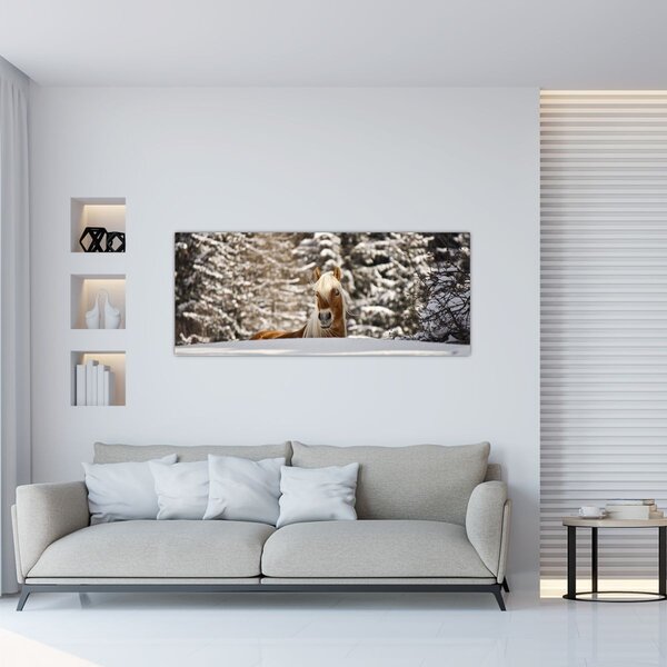 Obraz - Kôň v zimnej krajine (120x50 cm)